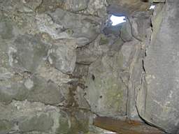 bellanamullia - 1225.JPG